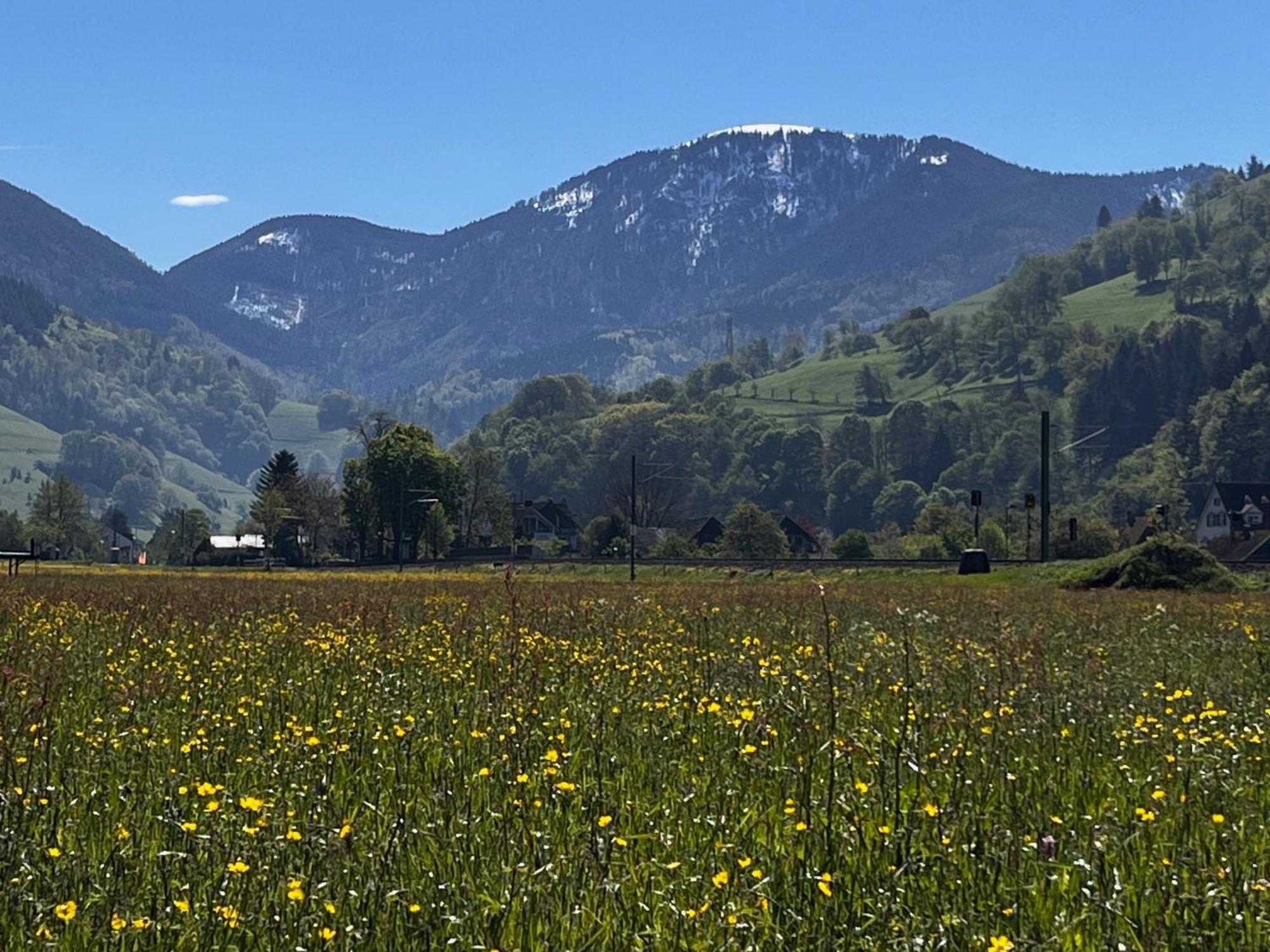 Gaestezimmer Münstertal Dış mekan fotoğraf
